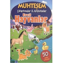 Muhteşem Çıkartmalar - Aktiviteler Evcil Hayvanlar- Parıltı Yayınları
