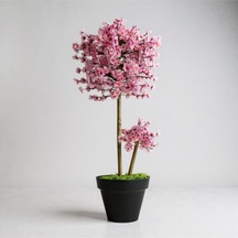 Pembe