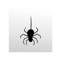 Folyo Sticker Örümcek 160cm Uzunluk Siyah