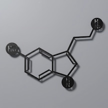 Serotonin Metal Tablo Siyah