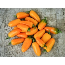 20 Adet Orange Spice Jalepeno Biber Tohumu N112534