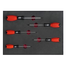 Brio Tornavida Seti Torx 5 Parça T10-T30 Sünger Yataklı