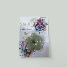 Cans Catnipli Çiçek