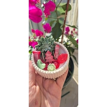 Yılbaşı Hediyelik Linda Kase Mum El Yapımı, Doğal Soya Mum Beyaz Kırmızı