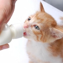 Yavru Kedi Köpek Biberonu 2 Emzikli 50 Ml 1 Adet