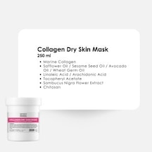 Theraderm Collagen Dry Skin Mask 250 Ml