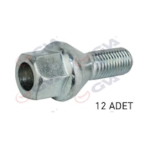 Gva Bijon Civatası Renault Megane-clıo Y.m. Dacıa Duster-logan Delikli Tip Paket 12 Gva 8810126 8200473353 402222121r