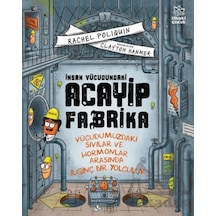 İnsan Vücudundaki Acayip Fabrika İthaki Çocuk Yayınları