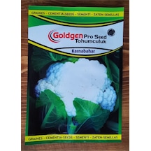 Goldgen Pro Seed Karnabahar