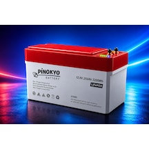 Megacell / Pinokyo 12.8 V 250 Ah Lityum Demir Fosfat Akü Lıfep04-prizmatik Hücreli
