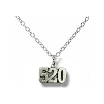 520 Numeroloji Bereket Unisex Kolye 60 Cm Zincirli, Anlamlı Tasarım Çok renkli