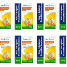 Bisolnatur Bitkisel Şurup 128 gr 6 Kutu