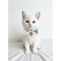 Flypet Karışık Desen Papyon Kedi Tasma & Yavru Köpek Tasma 13cm-24cm Ayarlanabilir Tasma
