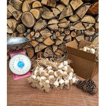 Kastamonu Taşköprü Sarımsağı 1 KG