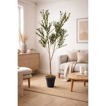 Yapay Zeytin 150 Cm Boyunda Dekoratif Modern İç Mekan Salon Ofis Ağacı Çok Renkli