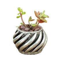 Dekoratif Saksı Minik Kaktüs Saksısı 1 Adet Kalın Çizgili Spiral Model - Gümüş Eskitme