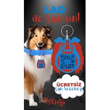 Petjoo 23.Lad Kırmızı-Mavi Qr'lı Köpek Künyesi