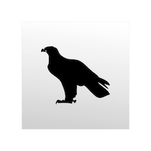 Folyo Sticker Kartal Adkpquy630 30cm Uzunluk Siyah