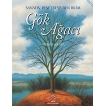 Gök Ağacı - Yqbx-716813