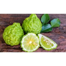 3 Yaş Bergamot  Fidanı