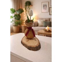 Ahşap Çiçeklik, Kalemlik Su Kabağı - 848277307 Diğer