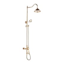 Nsk Siempre Bataryalı Robot Duş Seti Altın