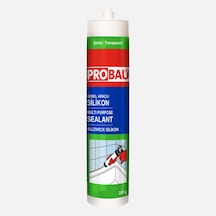 Probau Silikon Şeffaf 280 G