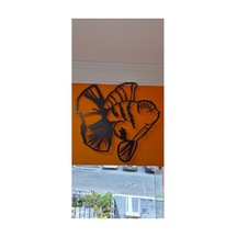 Oranda Işıklı 50cm