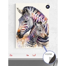 Zebra Sevgisi Hayvan Poster - Afiş - Dekoratif Duvar Posteri