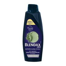 Blendax Erkek Kepeğe Karşı Etkili Şampuan 500 Ml 5 Adet
