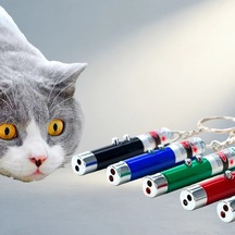 Kırmızı Beyaz Işıklı Lazer Kedi Köpek Oyuncak Anahtarlık .