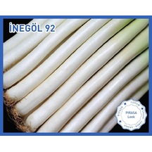 Biogen Pırasa Tohumu İnegöl92 10GR 1 Paket