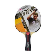 Butterfly Werner Schlager Platin Masa Tenisi Raketi 85074
