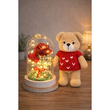 Amigurumi Ayıcık Figürü Ve Işıklı Gül Fanus Seti Çok Renkli