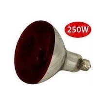 Philips 250W Isıtan Lamba Fizik Lambası