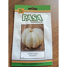 Paşa Tohumculuk Kabak Tohumu Arıca-97 5gr