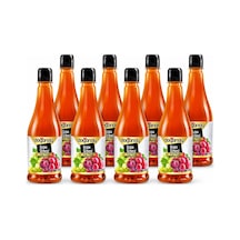 Doğanay Üzüm Sirkesi Pet 500 Ml X 8 Adet