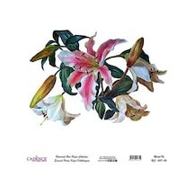 Cadence Evrensel Pirinç Dekopaj Kağıdı - Uc-007