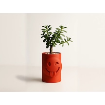 3d Baskı Emoji Planter - Göz Kırpan Yüzlü Sukulent Saksısı-turuncu Çok Renkli