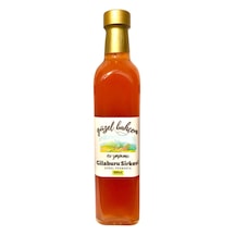 Güzel Bahçem Gilaburu Sirkesi 500 ML