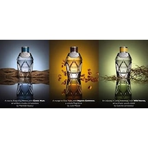Bentley Vetiver Edp 100 Ml Erkek Parfüm Diğer
