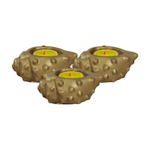 Mumluk Şamdan 3 Adet Tealight Uyumlu Deniz Kabuğu Mum Model - Altın
