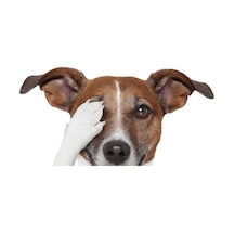 Terrier Sevimli Köpek Sticker Yapıştırma 18cm Model5