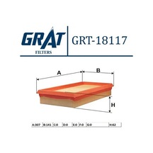 Grat 18117 Hava Filtresi 178010n040