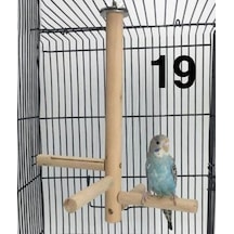 Papağan Tünek Oyuncağı Kuş Tüneği 19