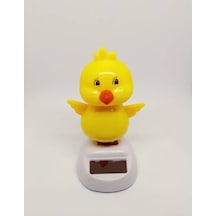 Güneş Enerjili Solar Dans Eden Civciv Tdrtr Çok Renkli