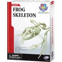 Kurbağa İskeleti Bilim Seti
