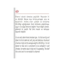 Açık Gri