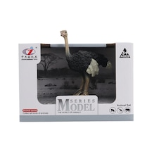 Animal World Deve Kuşu