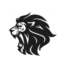 Aslan Tasarımlı Oto Sticker Siyah 30 25 Cm